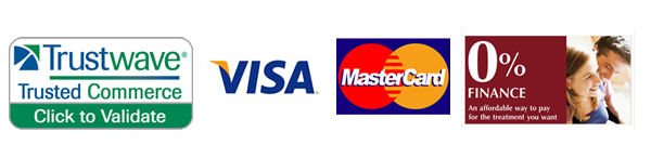 visa2